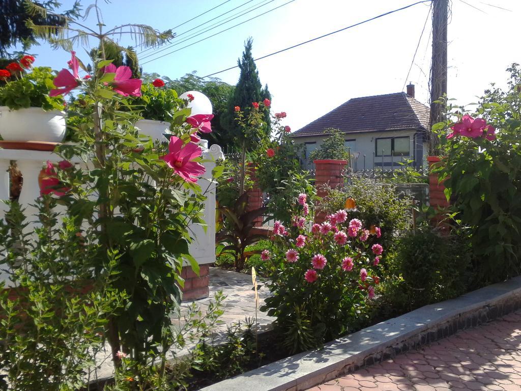 Bed and Breakfast Kristaly Apartman Hévíz Exterior foto
